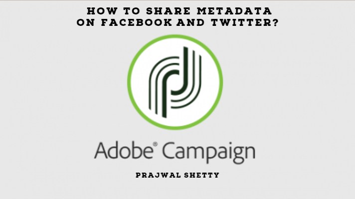 adobe-campaign-metadata-facebook